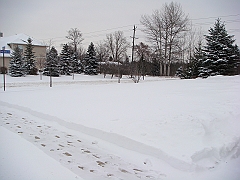 006 A2 Snowfall & Trees [2008 Dec 20]
